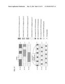 COMMUNICATION METHOD USING A CARRIER AGGREGATION AND APPARATUS THEREFORE diagram and image