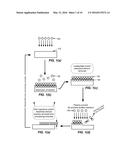 ADJUSTMENT OF VUV EMISSION OF A PLASMA VIA COLLISIONAL RESONANT ENERGY     TRANSFER TO AN ENERGY ABSORBER GAS diagram and image