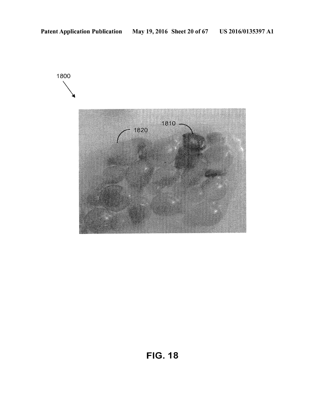 Systems and Methods for Cultivating and Distributing Aquatic Organisms - diagram, schematic, and image 21