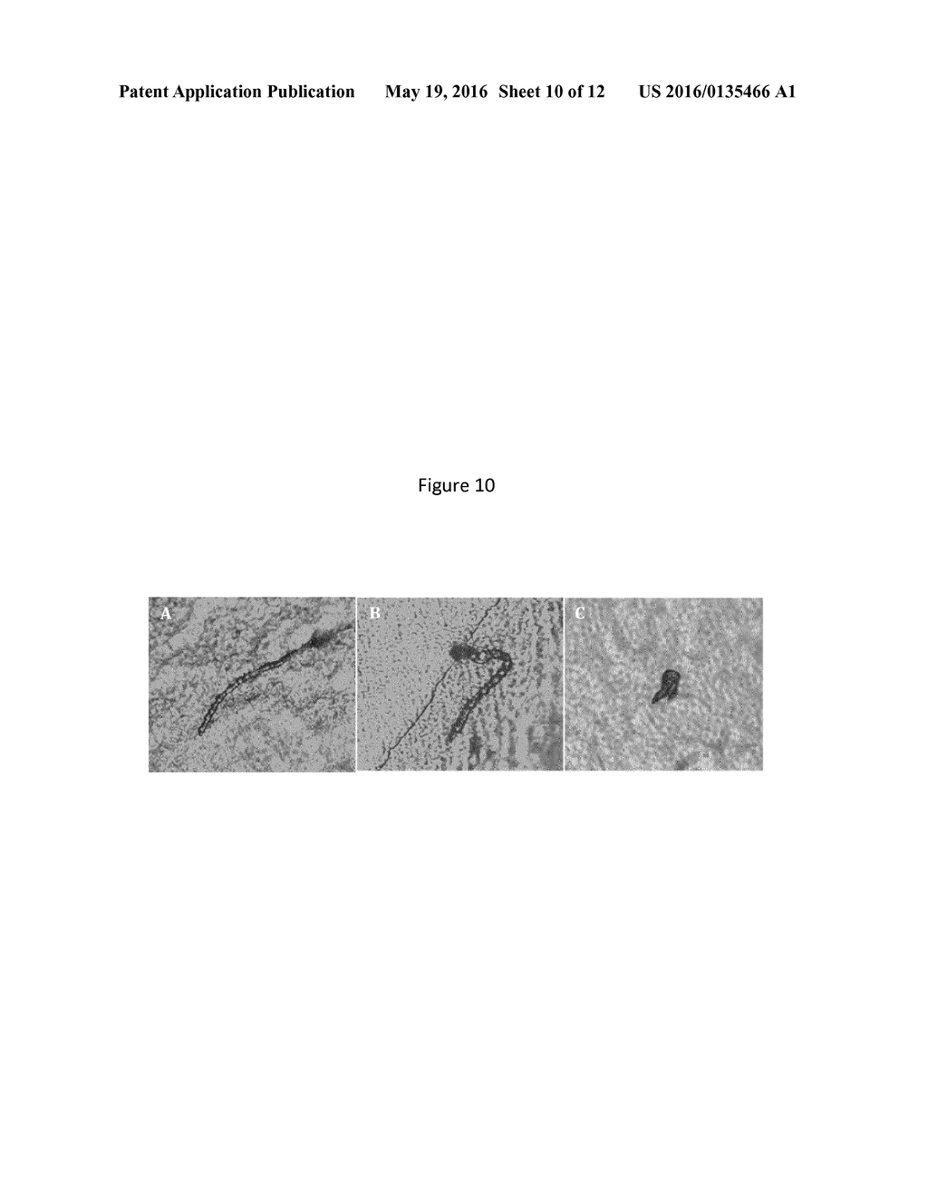 NOVEL PEST CONTROL METHODS - diagram, schematic, and image 11