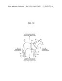 METHOD FOR MANAGING HEALTH CONDITION, HEALTH CONDITION MANAGEMENT     APPARATUS, AND HEALTH CONDITION MANAGEMENT SYSTEM diagram and image