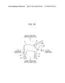 METHOD FOR MANAGING HEALTH CONDITION, HEALTH CONDITION MANAGEMENT     APPARATUS, AND HEALTH CONDITION MANAGEMENT SYSTEM diagram and image