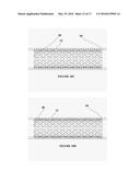 APPARATUS AND METHOD FOR TISSUE ADHESION diagram and image