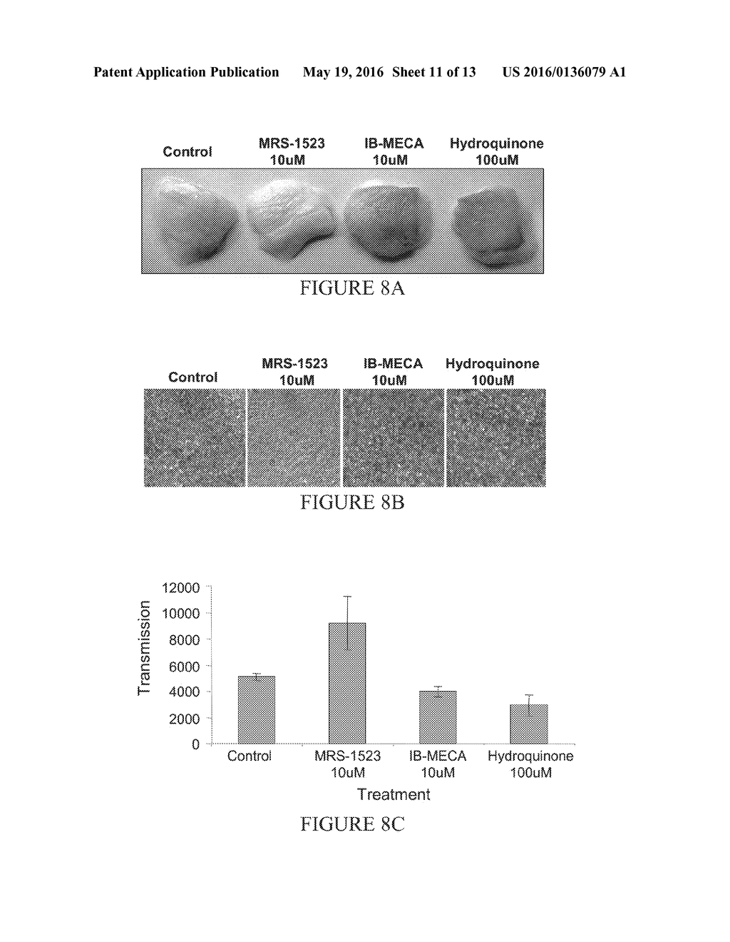 A3 ADENOSINE RECEPTOR LIGANDS FOR MODULATION OF PIGMENTATION - diagram, schematic, and image 12