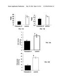 Methods and Compositions for the Treatment of Cancer and Related     Hyperproliferative Disorders diagram and image