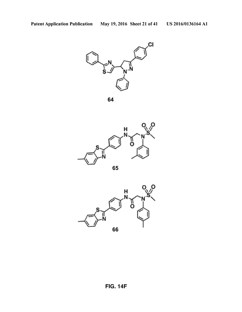 Methods and Compositions for the Treatment of Cancer and Related     Hyperproliferative Disorders - diagram, schematic, and image 22