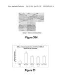 Molecular and Herbal Combinations for Treating Psoriasis diagram and image