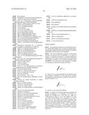 NOVEL CYCLOSPORIN ANALOGUES FOR PREVENTING OR TREATING HEPATITIS C     INFECTION diagram and image