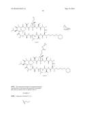 NOVEL CYCLOSPORIN ANALOGUES FOR PREVENTING OR TREATING HEPATITIS C     INFECTION diagram and image