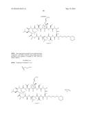 NOVEL CYCLOSPORIN ANALOGUES FOR PREVENTING OR TREATING HEPATITIS C     INFECTION diagram and image