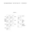 Compositions and Methods of Altering Cholesterol Levels diagram and image