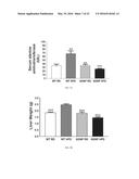 Glial Cell Line Derived Neurotrophic Factor, Obesity, and Obesity-Related     Diseases and Conditions diagram and image