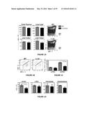 METHODS OF USE FOR IL-22 PROMOTING REJUVENATION OF THYMIC AND BONE MARROW     FUNCTION diagram and image