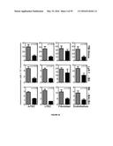 METHODS OF USE FOR IL-22 PROMOTING REJUVENATION OF THYMIC AND BONE MARROW     FUNCTION diagram and image