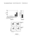 METHODS OF USE FOR IL-22 PROMOTING REJUVENATION OF THYMIC AND BONE MARROW     FUNCTION diagram and image