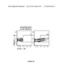 METHODS OF USE FOR IL-22 PROMOTING REJUVENATION OF THYMIC AND BONE MARROW     FUNCTION diagram and image