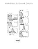 METHODS OF USE FOR IL-22 PROMOTING REJUVENATION OF THYMIC AND BONE MARROW     FUNCTION diagram and image