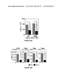 METHODS OF USE FOR IL-22 PROMOTING REJUVENATION OF THYMIC AND BONE MARROW     FUNCTION diagram and image