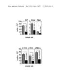 METHODS OF USE FOR IL-22 PROMOTING REJUVENATION OF THYMIC AND BONE MARROW     FUNCTION diagram and image