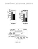 METHODS OF USE FOR IL-22 PROMOTING REJUVENATION OF THYMIC AND BONE MARROW     FUNCTION diagram and image