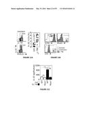 METHODS OF USE FOR IL-22 PROMOTING REJUVENATION OF THYMIC AND BONE MARROW     FUNCTION diagram and image