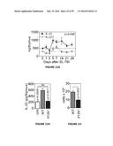 METHODS OF USE FOR IL-22 PROMOTING REJUVENATION OF THYMIC AND BONE MARROW     FUNCTION diagram and image