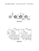 METHODS OF USE FOR IL-22 PROMOTING REJUVENATION OF THYMIC AND BONE MARROW     FUNCTION diagram and image