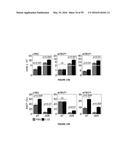 METHODS OF USE FOR IL-22 PROMOTING REJUVENATION OF THYMIC AND BONE MARROW     FUNCTION diagram and image