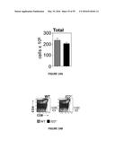 METHODS OF USE FOR IL-22 PROMOTING REJUVENATION OF THYMIC AND BONE MARROW     FUNCTION diagram and image