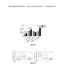 METHODS OF USE FOR IL-22 PROMOTING REJUVENATION OF THYMIC AND BONE MARROW     FUNCTION diagram and image