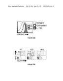 METHODS OF USE FOR IL-22 PROMOTING REJUVENATION OF THYMIC AND BONE MARROW     FUNCTION diagram and image