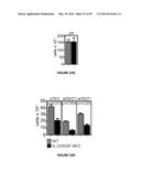 METHODS OF USE FOR IL-22 PROMOTING REJUVENATION OF THYMIC AND BONE MARROW     FUNCTION diagram and image