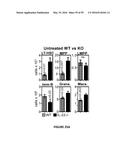 METHODS OF USE FOR IL-22 PROMOTING REJUVENATION OF THYMIC AND BONE MARROW     FUNCTION diagram and image