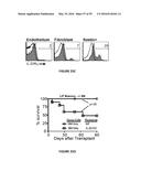 METHODS OF USE FOR IL-22 PROMOTING REJUVENATION OF THYMIC AND BONE MARROW     FUNCTION diagram and image