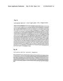 PHARMACEUTICAL COMPOSITION CONTAINING A STABILISED mRNA OPTIMISED FOR     TRANSLATION IN ITS CODING REGIONS diagram and image