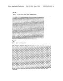 PHARMACEUTICAL COMPOSITION CONTAINING A STABILISED mRNA OPTIMISED FOR     TRANSLATION IN ITS CODING REGIONS diagram and image