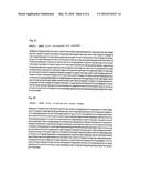 PHARMACEUTICAL COMPOSITION CONTAINING A STABILISED mRNA OPTIMISED FOR     TRANSLATION IN ITS CODING REGIONS diagram and image