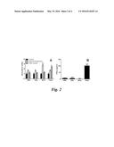 VACCINATION WITH RECOMBINANT MYCOBACTERIUM TUBERCULOSIS PknD ATTENUATES     BACTERIAL DISSEMINATION TO THE BRAIN diagram and image