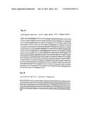 PHARMACEUTICAL COMPOSITION CONTAINING A STABILISED mRNA OPTIMISED FOR     TRANSLATION IN ITS CODING REGIONS diagram and image