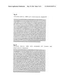 PHARMACEUTICAL COMPOSITION CONTAINING A STABILISED mRNA OPTIMISED FOR     TRANSLATION IN ITS CODING REGIONS diagram and image