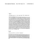 PHARMACEUTICAL COMPOSITION CONTAINING A STABILISED mRNA OPTIMISED FOR     TRANSLATION IN ITS CODING REGIONS diagram and image