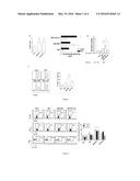 PHARMACEUTICAL COMPOSITION FOR VIRAL IMMUNOTHERAPY AND USES THEREOF diagram and image