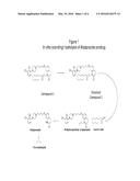 PHARMACEUTICAL COMPOSITIONS HAVING IMPROVED STORAGE STABILITY diagram and image