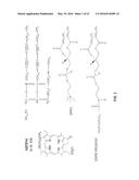 PHOTOACTIVATABLE LIPID-BASED NANOPARTICLES AS VEHICLES FOR DUAL AGENT     DELIVERY diagram and image