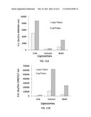 PHOTOACTIVATABLE LIPID-BASED NANOPARTICLES AS VEHICLES FOR DUAL AGENT     DELIVERY diagram and image