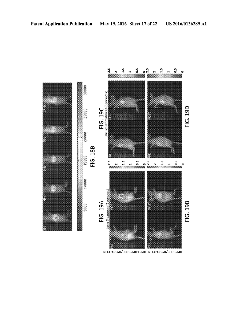 PHOTOACTIVATABLE LIPID-BASED NANOPARTICLES AS VEHICLES FOR DUAL AGENT     DELIVERY - diagram, schematic, and image 18