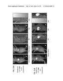 PHOTOACTIVATABLE LIPID-BASED NANOPARTICLES AS VEHICLES FOR DUAL AGENT     DELIVERY diagram and image