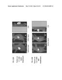 PHOTOACTIVATABLE LIPID-BASED NANOPARTICLES AS VEHICLES FOR DUAL AGENT     DELIVERY diagram and image