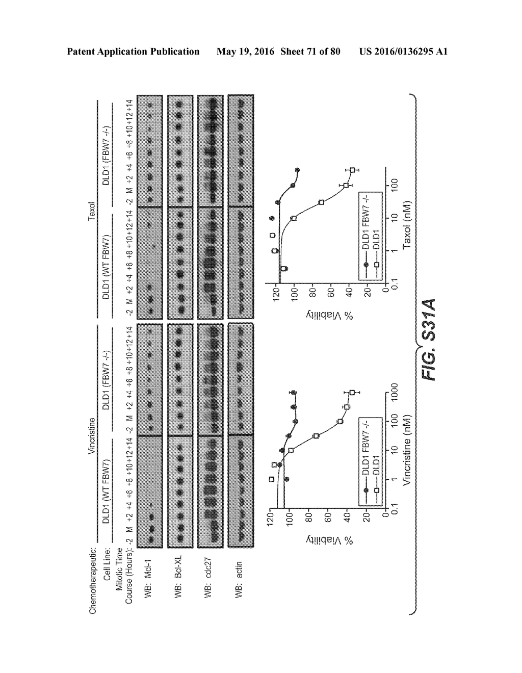 BIOMARKERS FOR TREATMENT WITH ANTI-TUBULIN CHEMOTHERAPEUTIC COMPOUNDS - diagram, schematic, and image 72