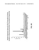 METHODS OF MAKING DLL3 ANTIBODY DRUG CONJUGATES diagram and image